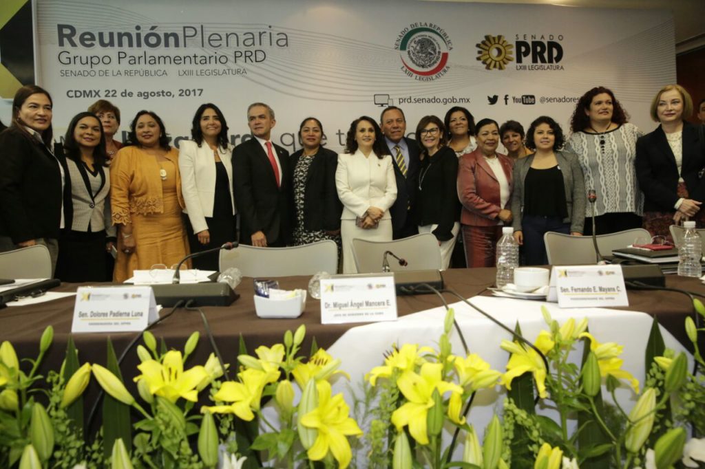 XI Plenaria del PRD