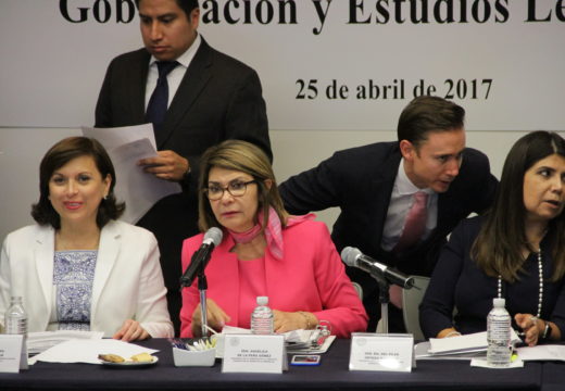 Importante garantizar que Asamblea Consultiva de la CEAV tenga una representación plural: Angélica de la Peña