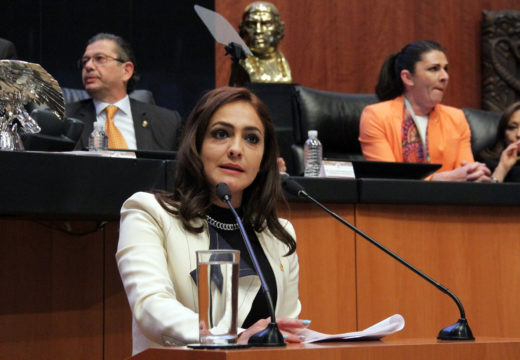 Propone Iris Vianey Mendoza modificaciones a la Ley General de Salud para fortalecer la Ley de Desaparición Forzada