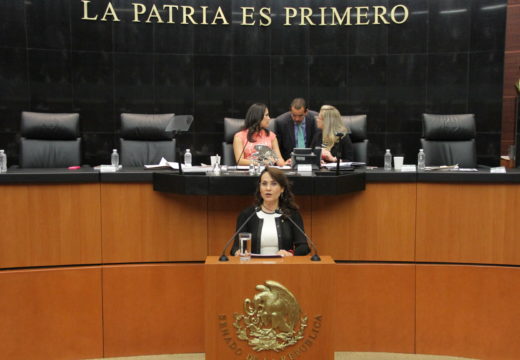 Senadora Dolores Padierna en tribuna