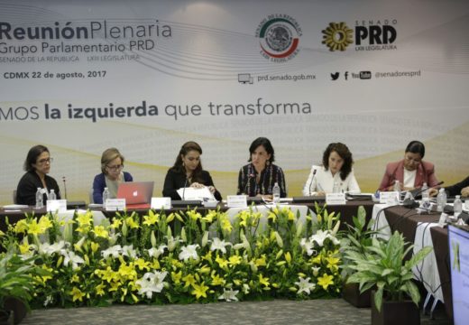 Los migrantes, el salario y las condiciones laborales de los mexicanos; son los temas del PRD: Dolores Padierna