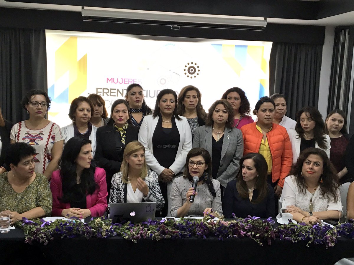 Plan de trabajo de mujeres del Frente Ciudadano por México para la conformación de la agenda de un gobierno de coalición