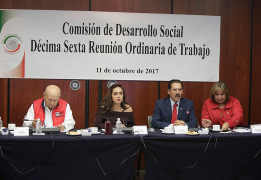 Preside senadora Iris Vianey Mendoza Décima Sexta reunión ordinaria de la Comisión de Desarrollo Social del Senado.