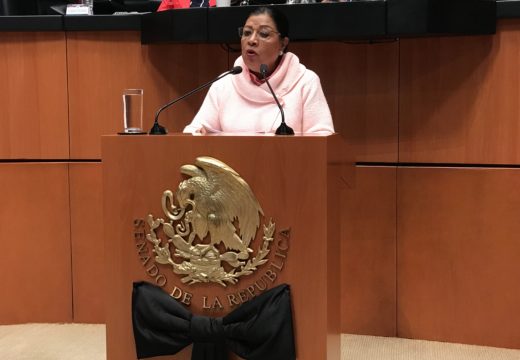 Ifetel  deberá actuar con imparcialidad y apego a las leyes para garantizar un proceso electoral limpio en 2018: Martha Palafox