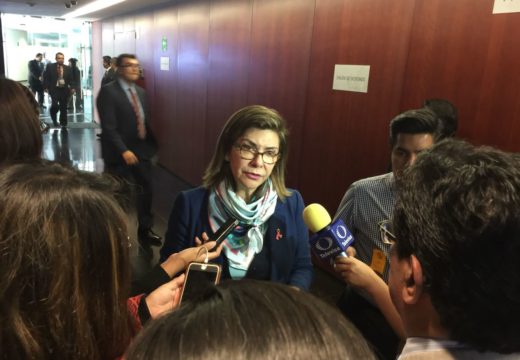 PRI y PVEM son el instrumento del presidencialismo para imponer sus decisiones al Congreso: de la Peña Gómez