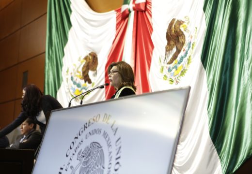 Informe 2017 de la CNDH es desalentador para los derechos humanos en México: Angélica de la Peña Gómez